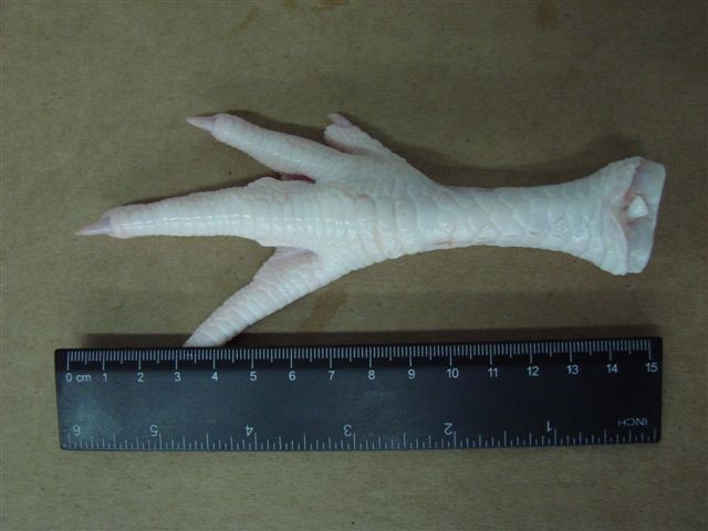 1 Chicken feet grade A